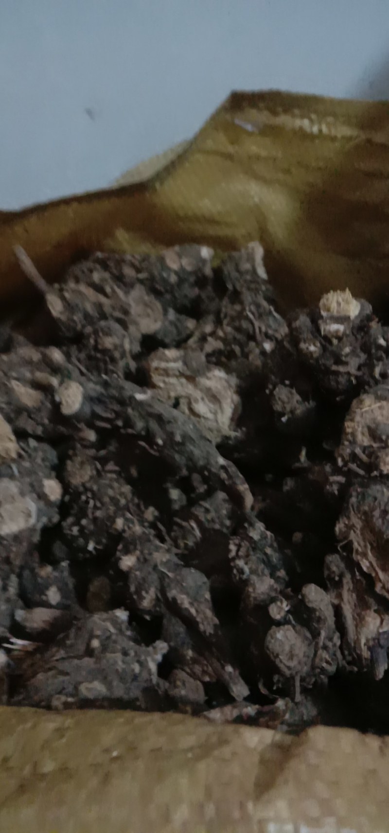中药根茎类北硃砂点苍术干货统货切片妙货