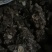 中药根茎类北硃砂点苍术干货统货切片妙货