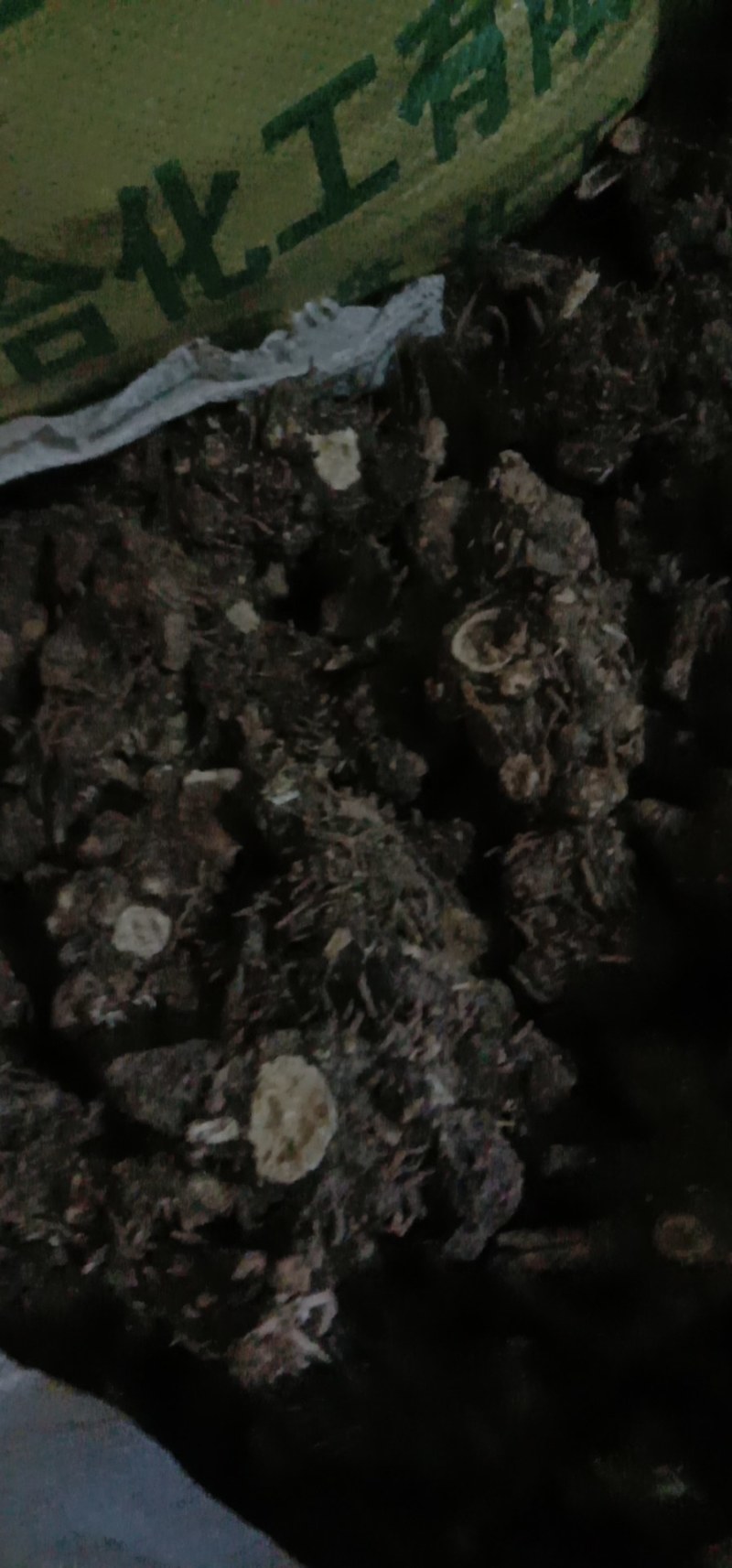 中药根茎类北硃砂点苍术干货统货切片妙货