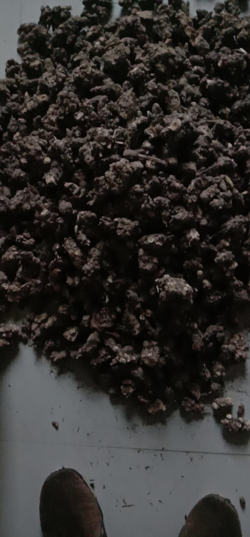中药根茎类北硃砂点苍术干货统货切片妙货