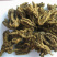 【有好货】黄连支连鸡爪连现货供应可视频看货