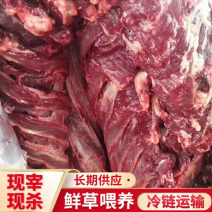 现宰现杀鲜驴肉散养带皮驴肉草料喂驴肉香