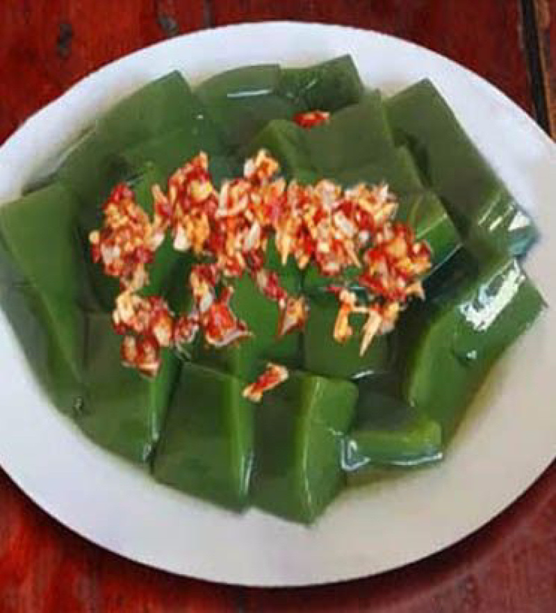 【种苗】神豆腐苗鬼豆腐树苗，是一款好培育高产种苗
