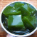 【种苗】神豆腐苗鬼豆腐树苗，是一款好培育高产种苗