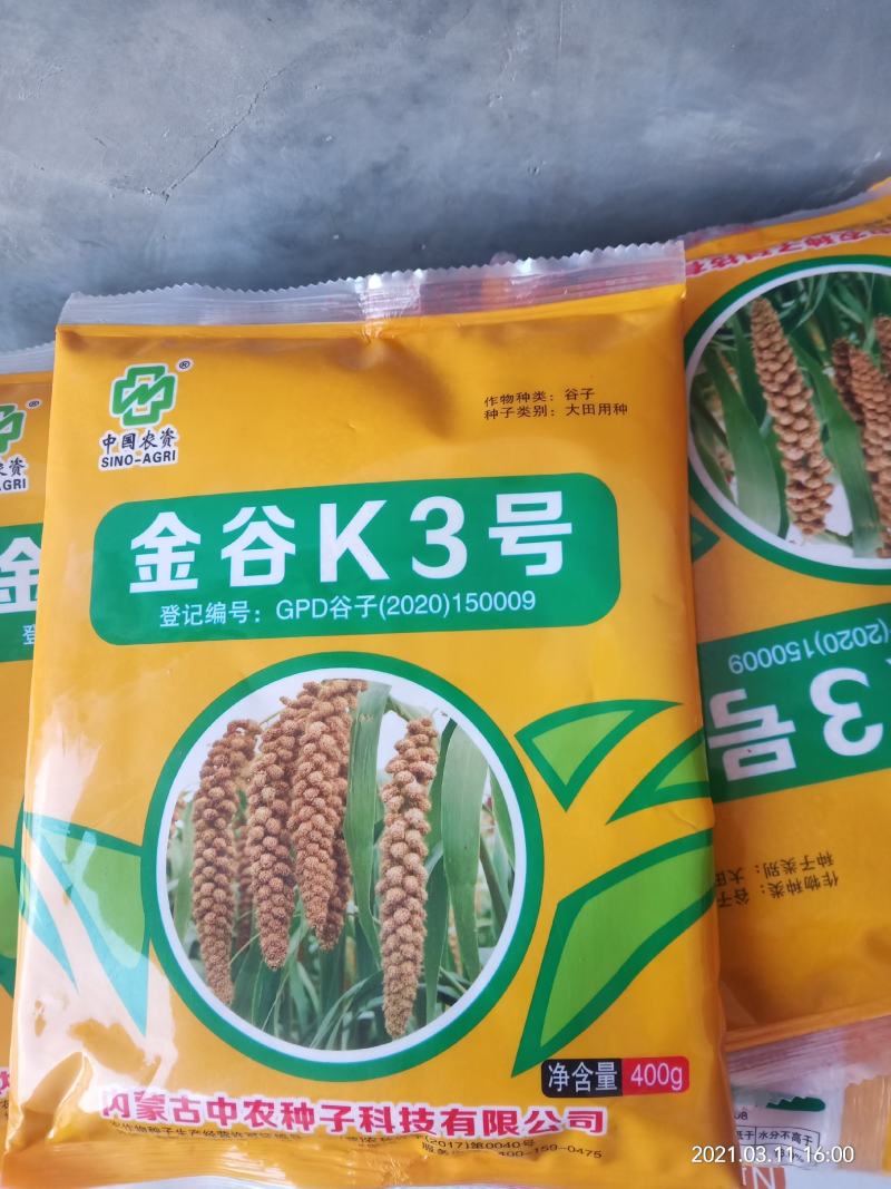 小杂粮大量出货