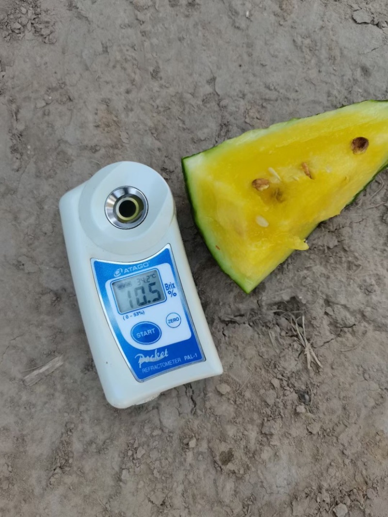 东台富硒现摘特小凤黄心西瓜新鲜黄心甜瓜黄瓤小瓜甜多汁