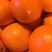 纽荷尔橙子，鲜橙叶橙大量供应中，地头看货订货按需采摘
