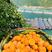 橙子，湖北脐橙圆红脐橙，一手货源供应，可视频订货