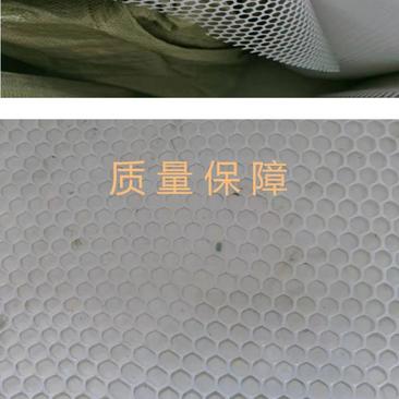 批发整卷塑料平网阳台防护网鸡鸭鹅脚垫育雏养蜂网塑料网格胶