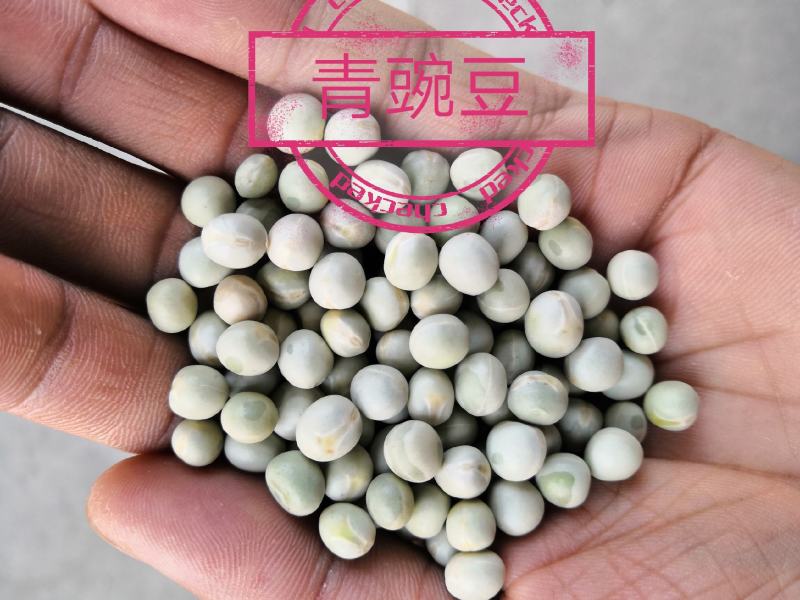 豌豆干豌豆青豌豆绿豌豆厂家直销量大从优