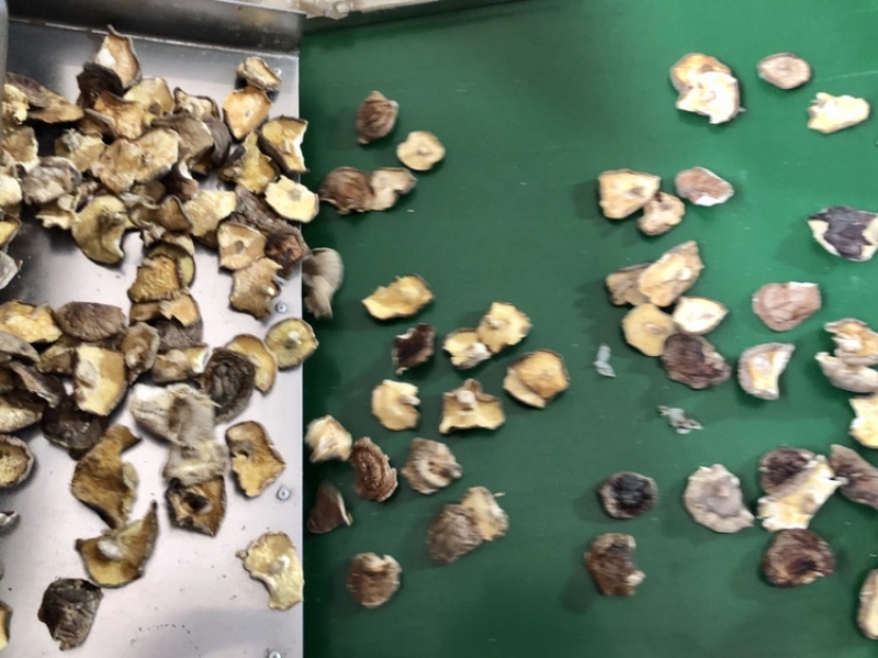 香菇碎片干货大小香菇破片蘑菇干香菇食用菌农产品原产地批发