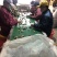 香菇碎片干货大小香菇破片蘑菇干香菇食用菌农产品原产地批发