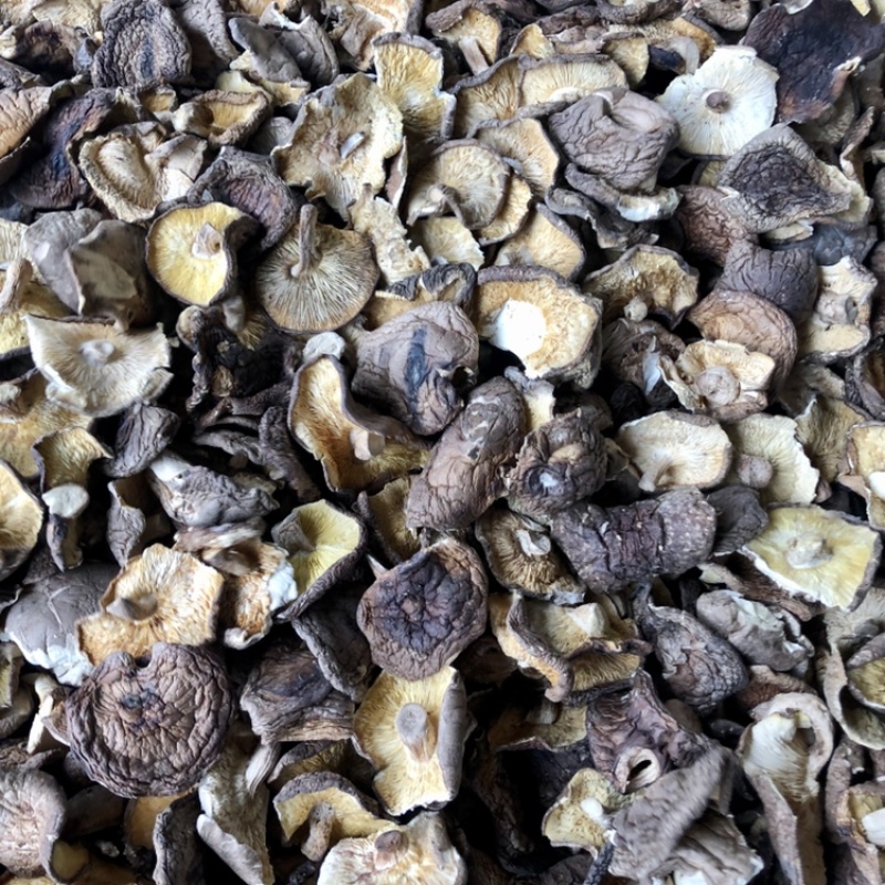 香菇碎片干货大小香菇破片蘑菇干香菇食用菌农产品原产地批发