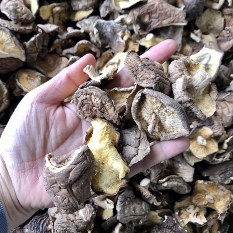 香菇碎片干货大小香菇破片蘑菇干香菇食用菌农产品原产地批发