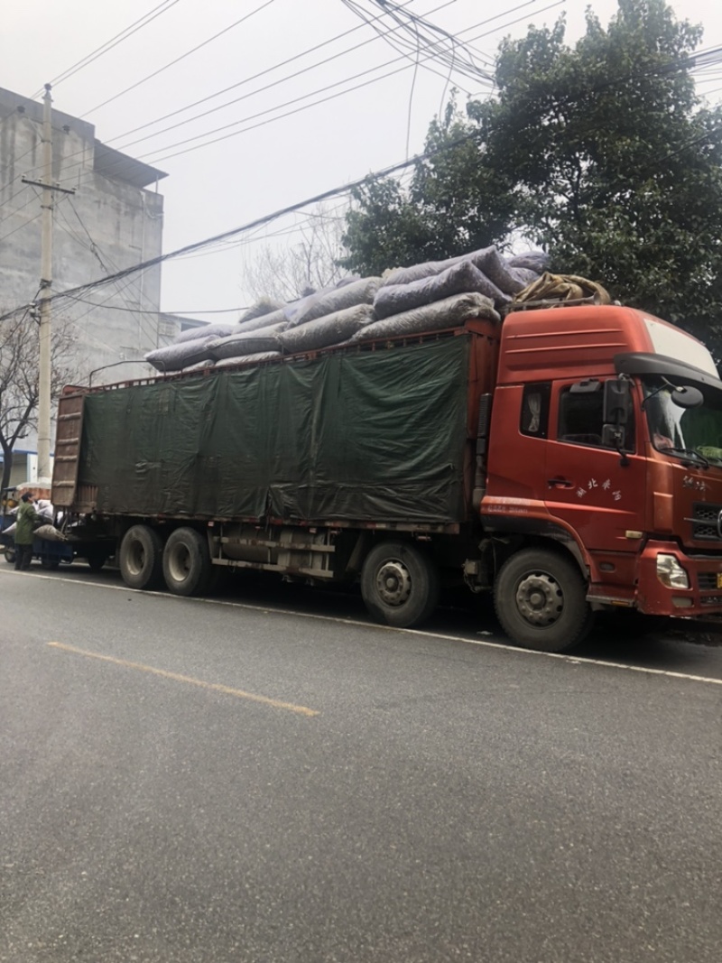 香菇碎片干货大小香菇破片蘑菇干香菇食用菌农产品原产地批发