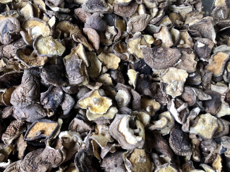 香菇碎片干货大小香菇破片蘑菇干香菇食用菌农产品原产地批发