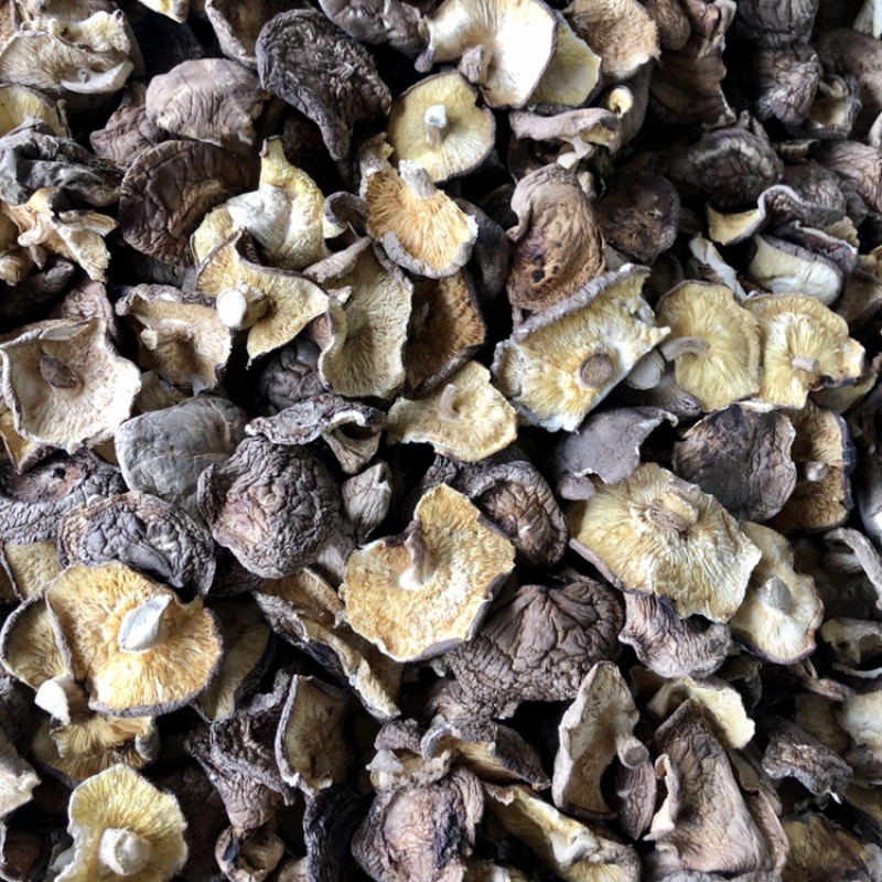 香菇碎片干货大小香菇破片蘑菇干香菇食用菌农产品原产地批发