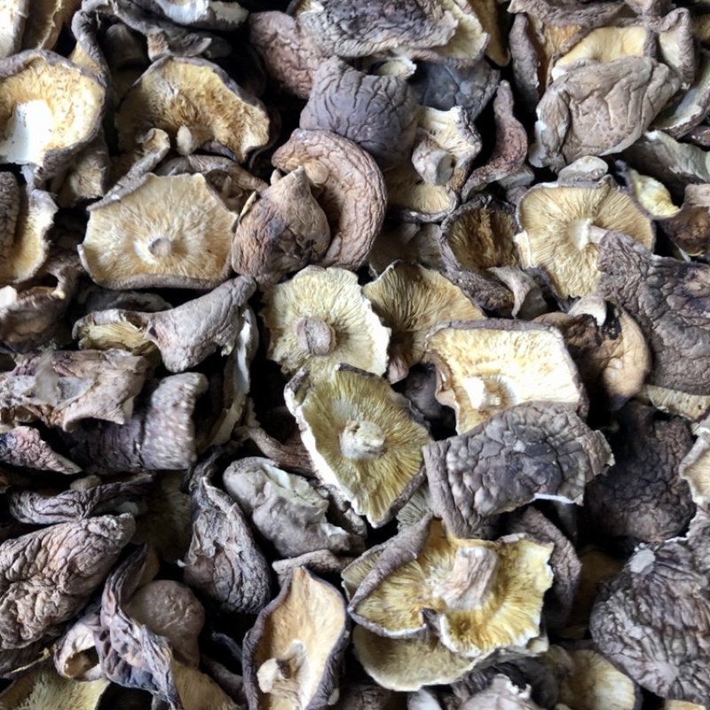 香菇碎片干货大小香菇破片蘑菇干香菇食用菌农产品原产地批发