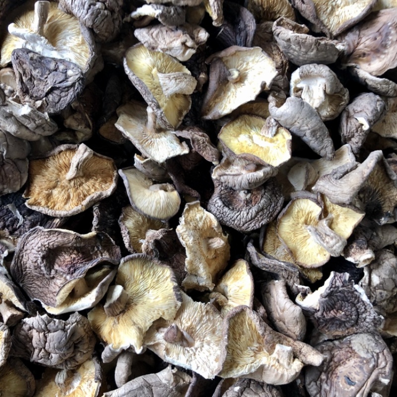 香菇碎片干货大小香菇破片蘑菇干香菇食用菌农产品原产地批发