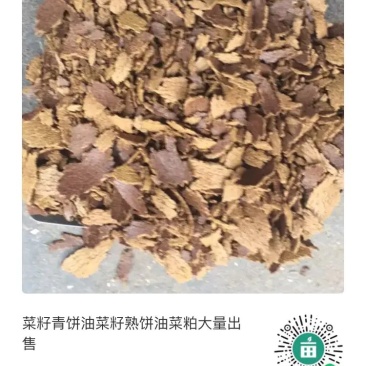 大量现货供应油菜粕质量保证无后顾之忧各种指标全部达到国家