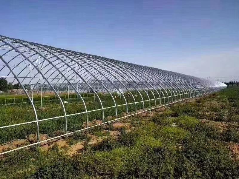 大棚温室骨架春秋棚