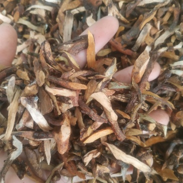 骨碎补～去皮骨碎补～量大优惠～1公斤起售～诚信合作~