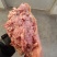 全熟猪头肉不用二次加工