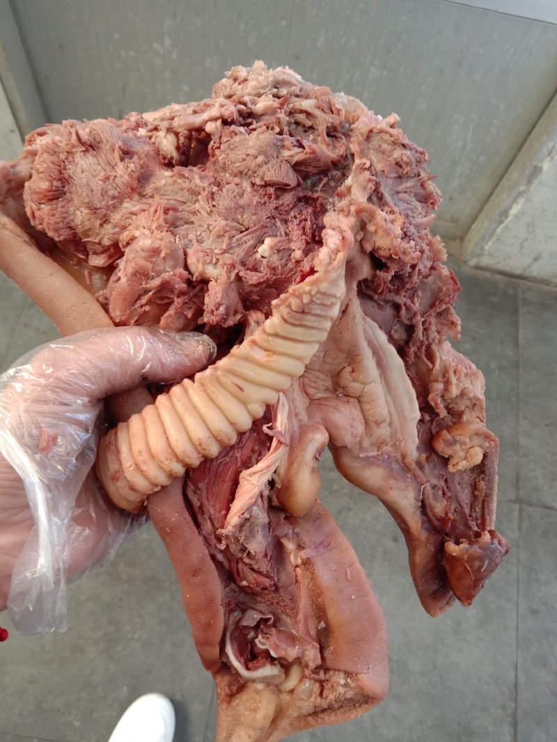 全熟猪头肉不用二次加工