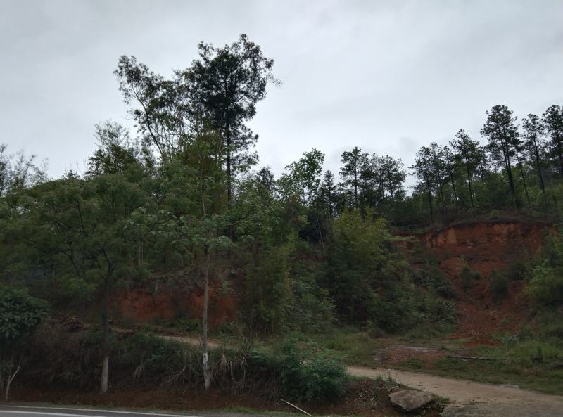 山地，自家的山，可以做植，和养植，有意合作
