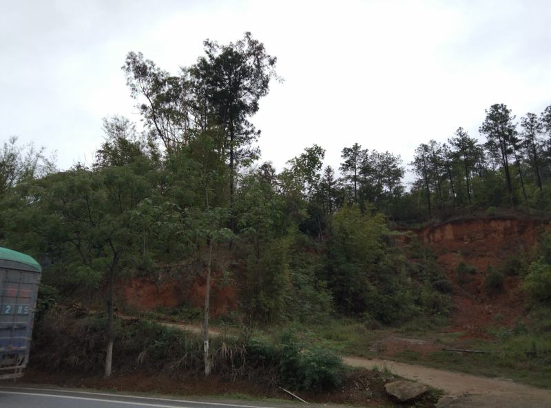 山地，自家的山，可以做植，和养植，有意合作