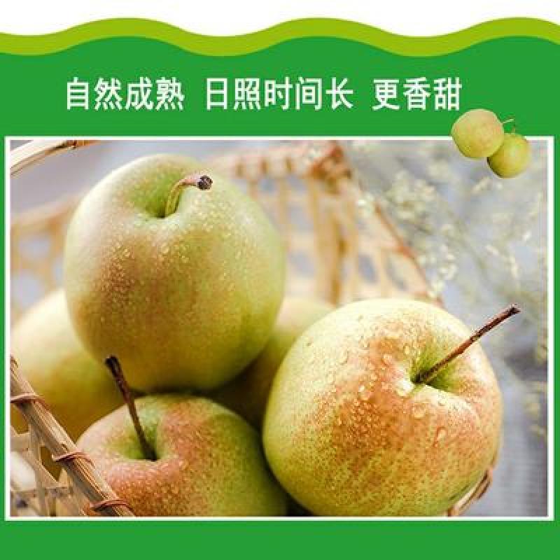 玉露香，7号，无渣个头大。口感脆甜，产地直发。量大从优。