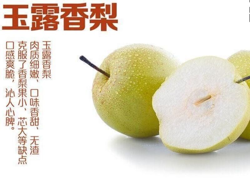 玉露香，7号，无渣个头大。口感脆甜，产地直发。量大从优。