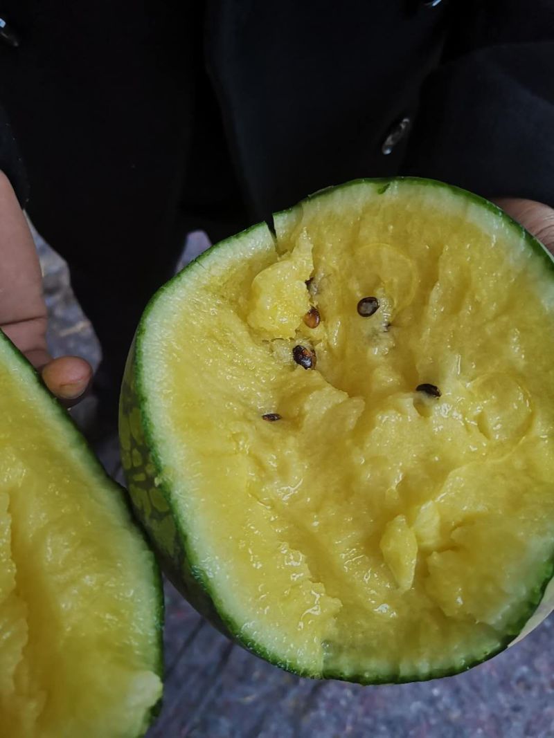 特小凤～金品