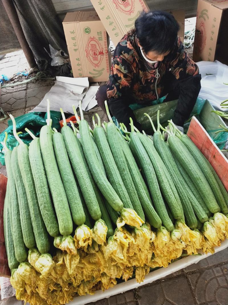 鲜花丝瓜