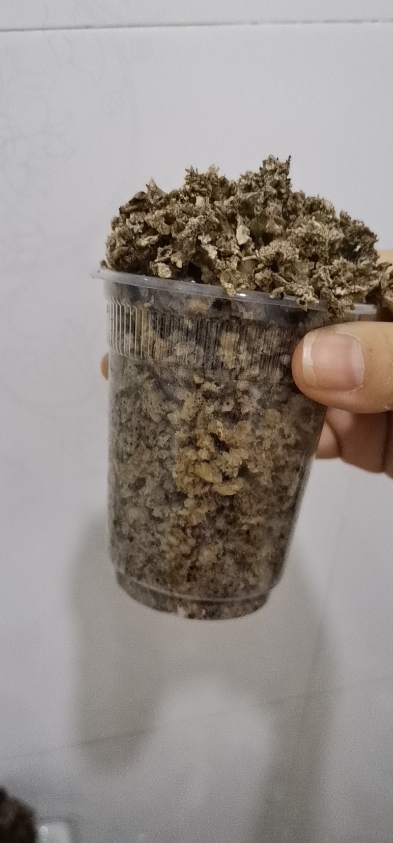 甜菜颗粒