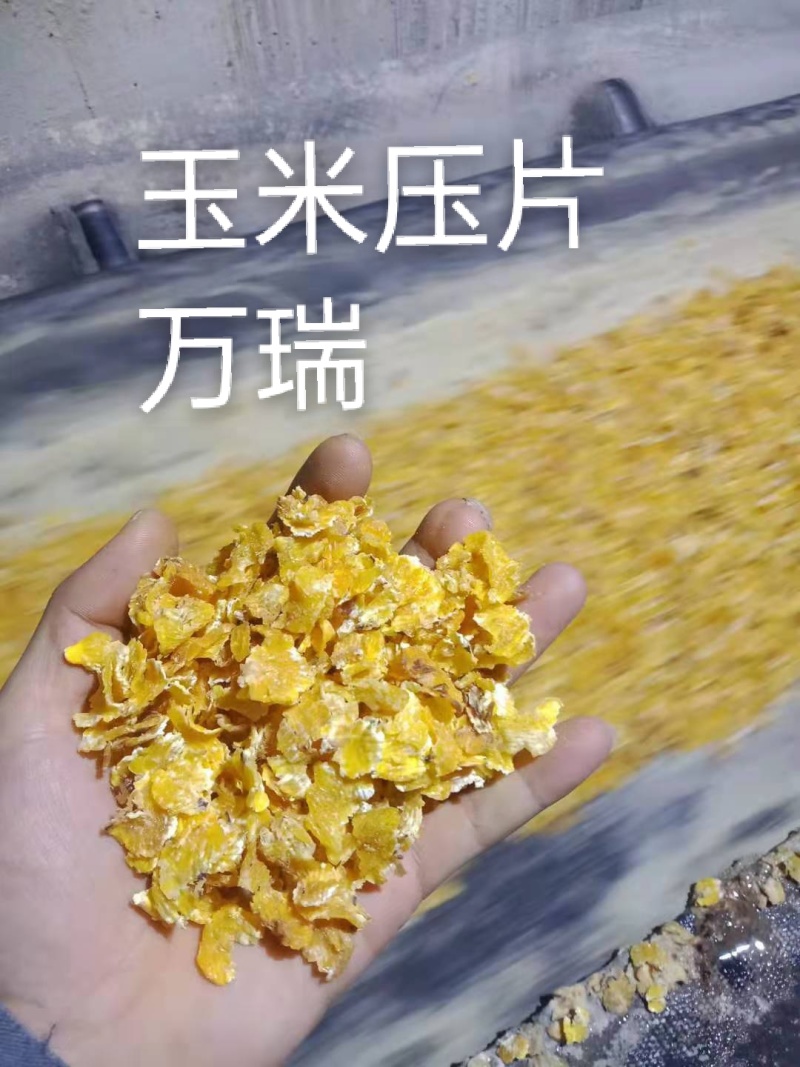 饲料原料
