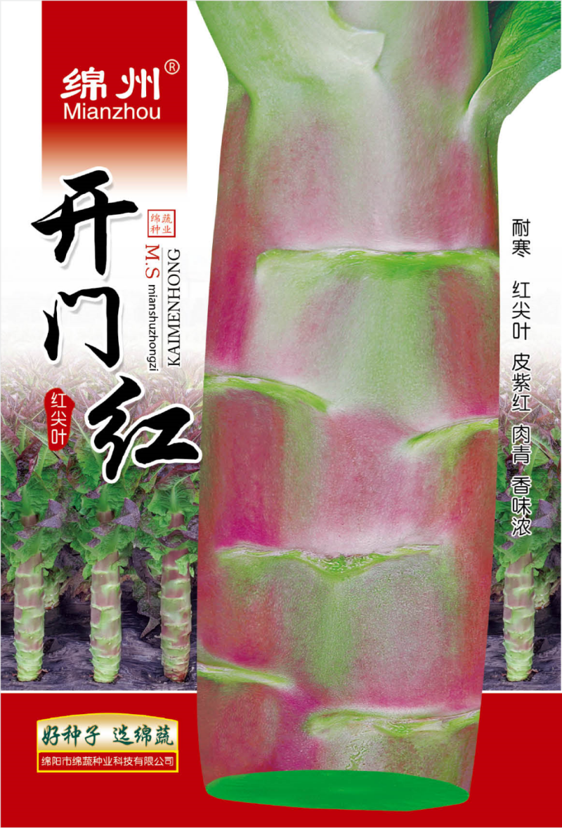 绵蔬/蔬菜种子/高品质香莴笋种子/开门红/10克/袋