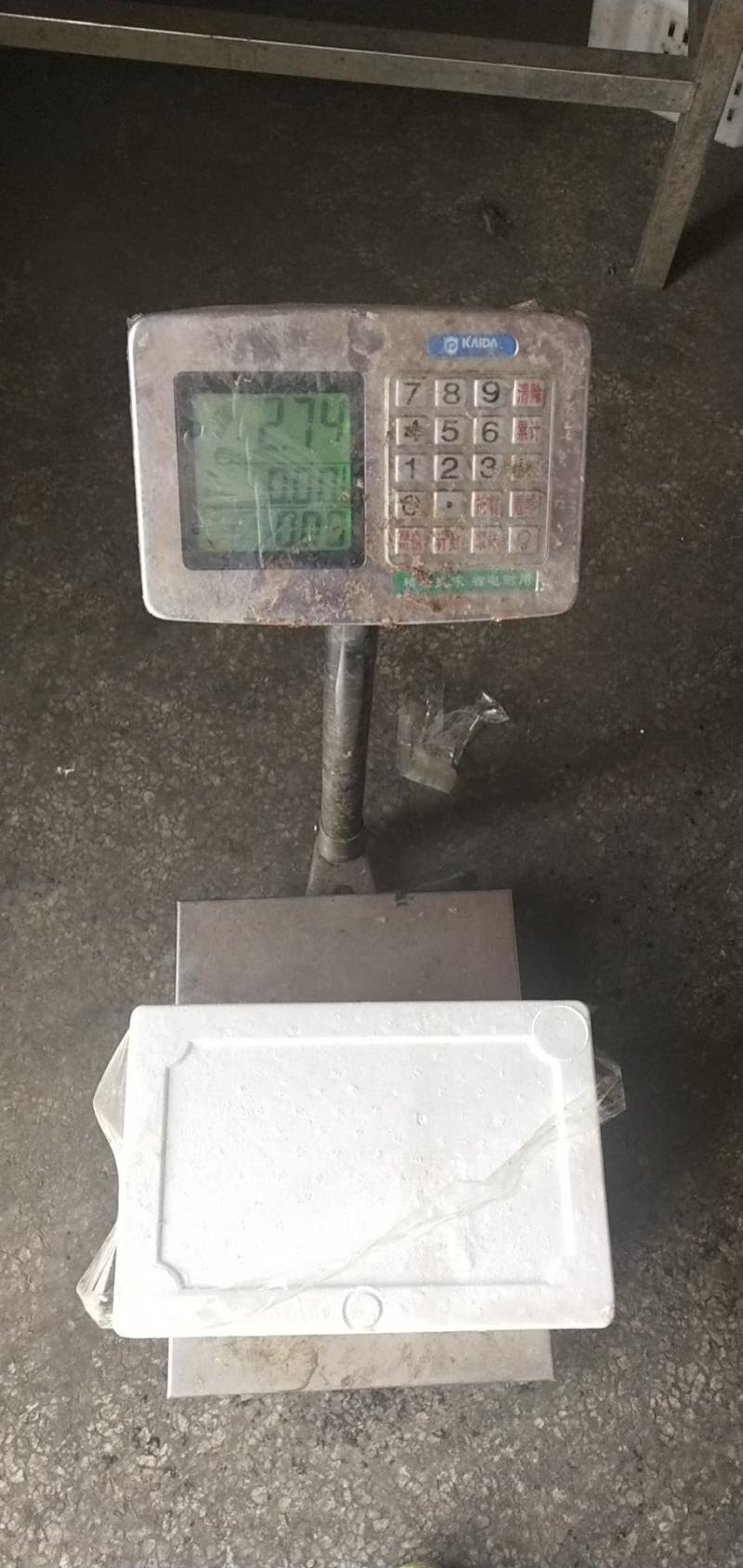 海龙虾，商超微商必选产品