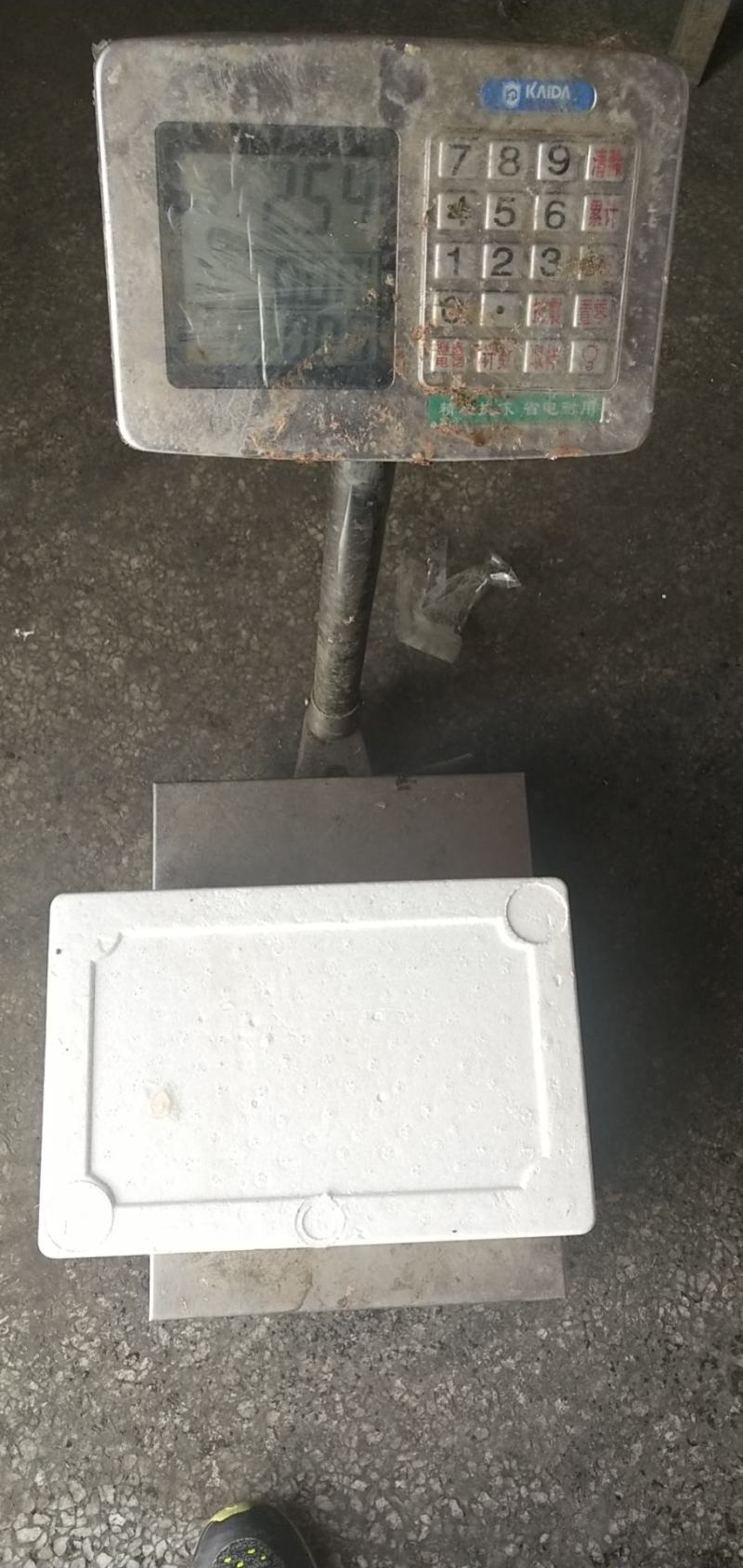 海龙虾，商超微商必选产品