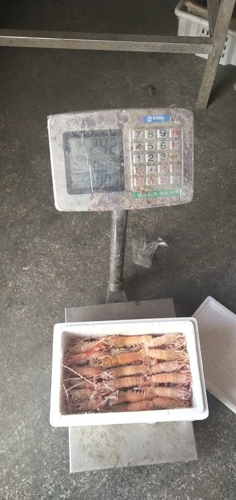 海龙虾，商超微商必选产品