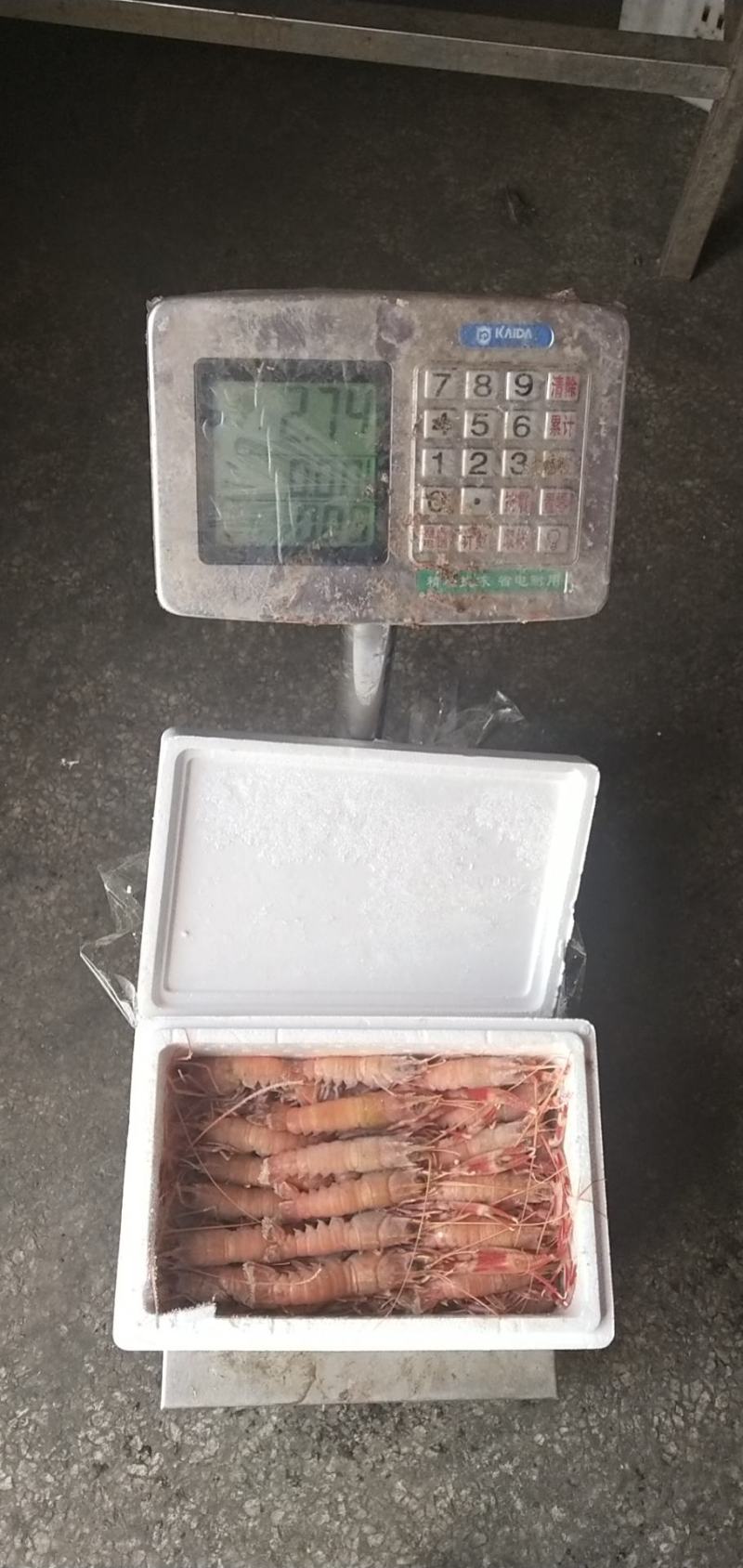 海龙虾，商超微商必选产品