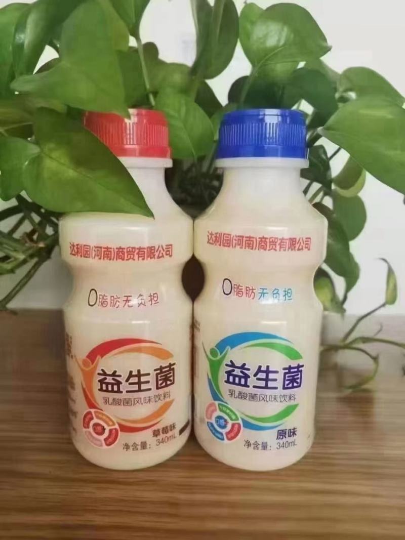 福建达利园乳酸菌河南达利园嘉冠乳酸菌地摊经济货源批发
