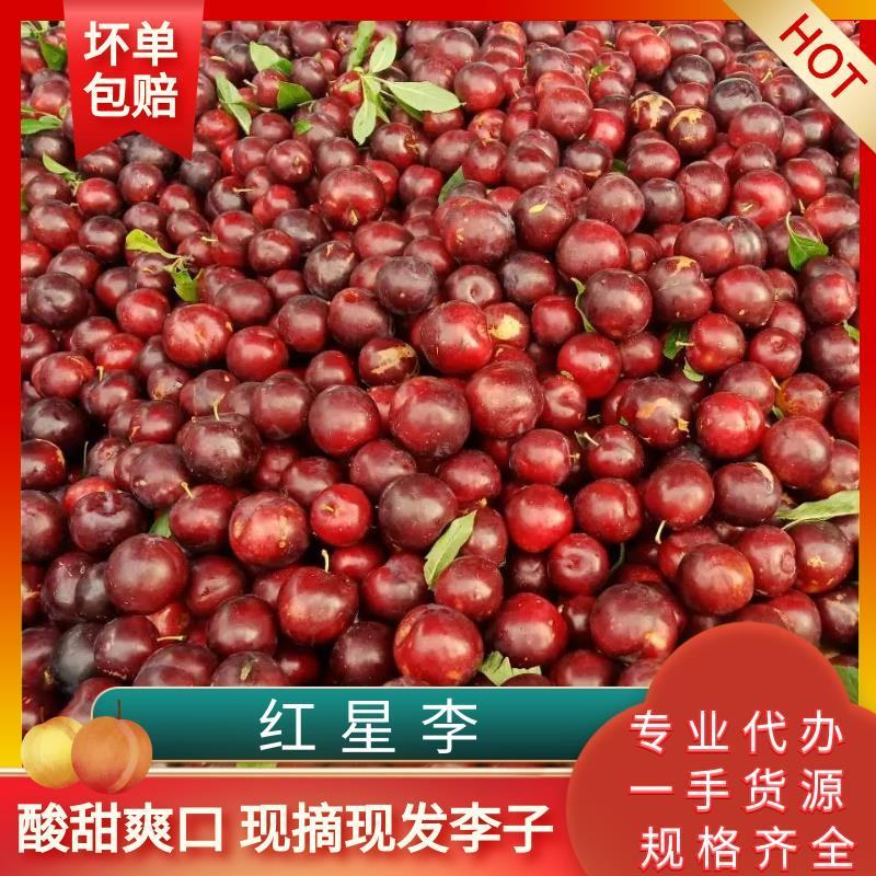 【李子】精品红心李红布林口感脆甜现摘现发量大从优