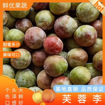 湖北李子芙蓉李子皮薄肉多口感脆甜产地直供量大从优