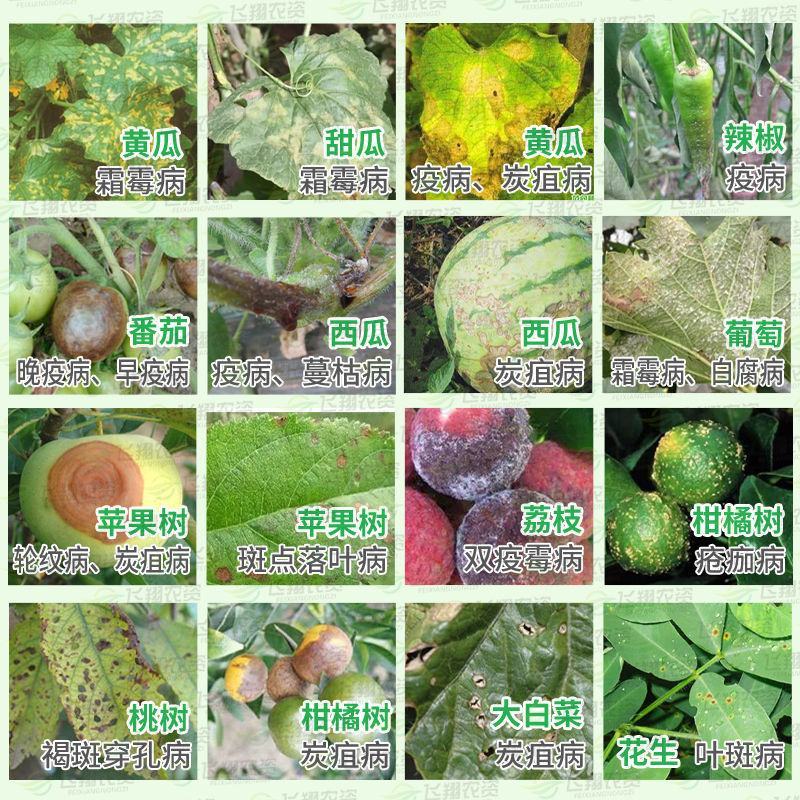 德国巴斯夫百泰唑醚代森联葡萄柑橘霜霉病疮痂病炭疽病杀菌剂