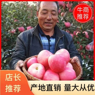 【热卖】山东红富士苹果冰糖心甜度高规格齐全坏果包赔