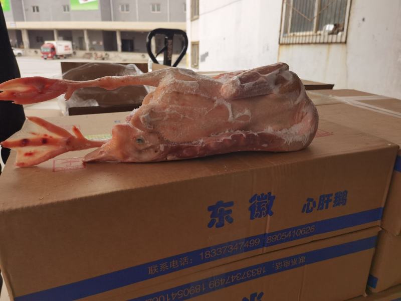 老鹅@济南东徽诚品鹅业，专业白条鹅供应商，全国冷链直发
