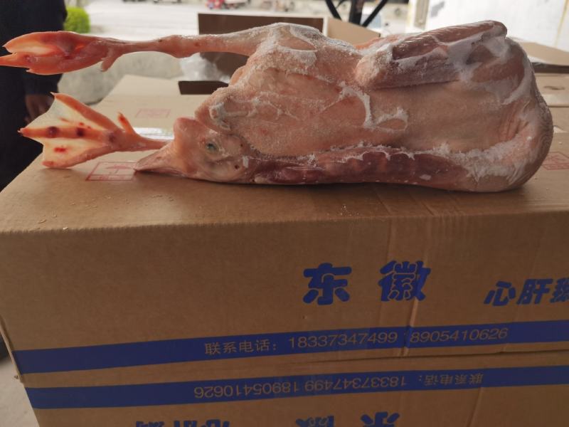 老鹅@济南东徽诚品鹅业，专业白条鹅供应商，全国冷链直发