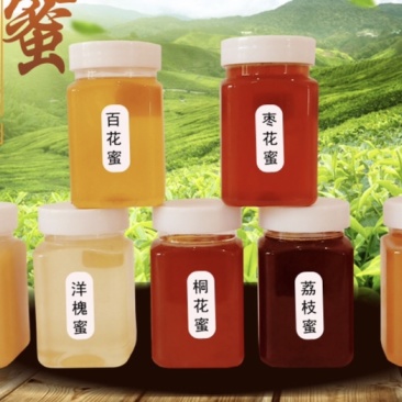 百花蜜，杨槐蜜，枸杞蜜，苹果蜜，枣花蜜，桐花蜜等