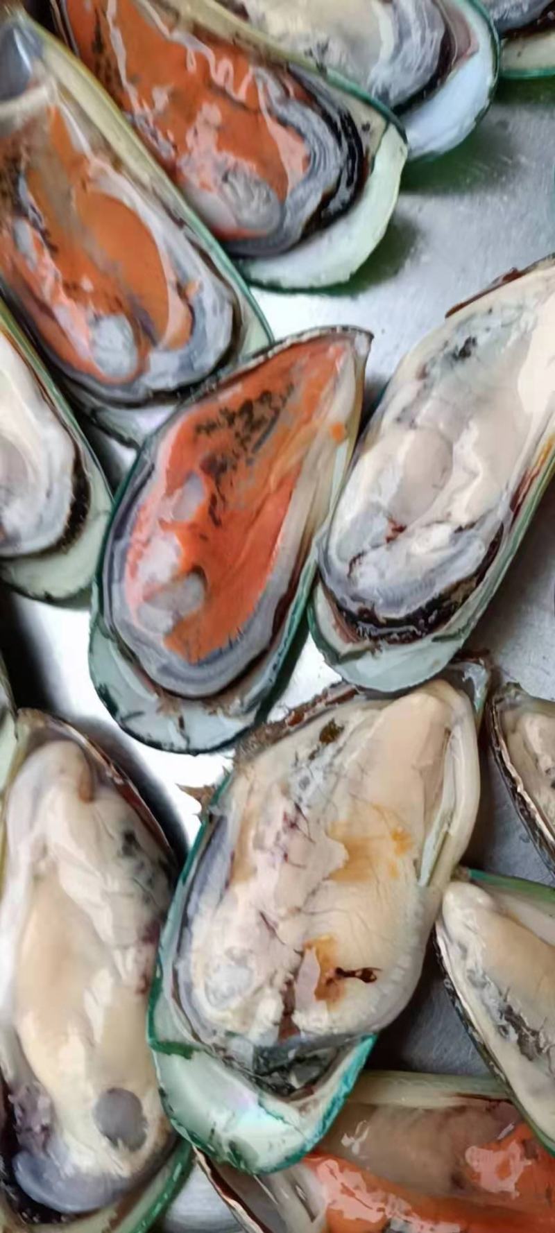 青口贝，青口贝螺肉